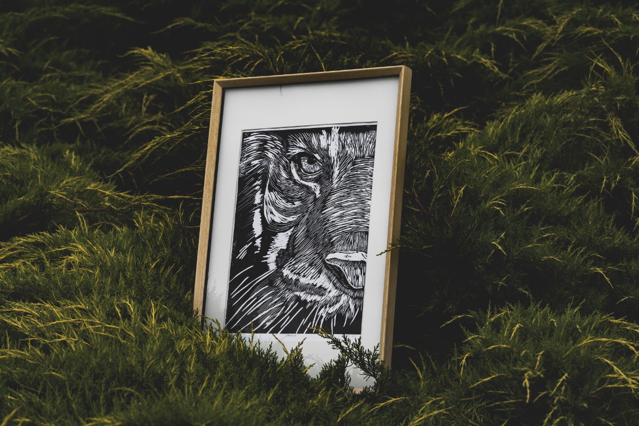 Wild Eye